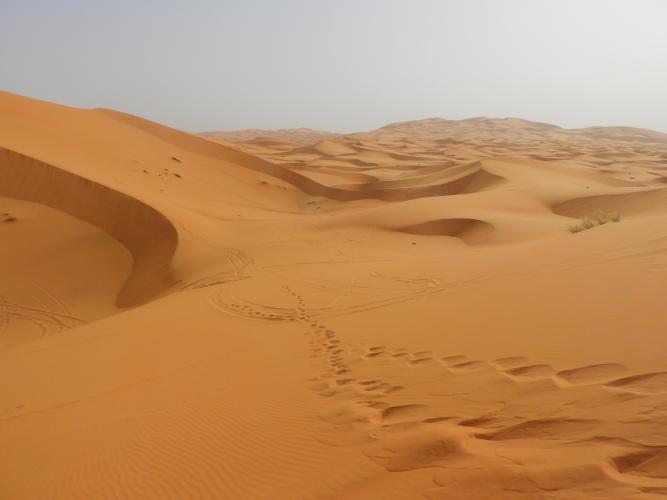 marocco%202023%20654(1).JPG