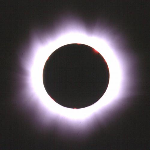 mc0022.jpg