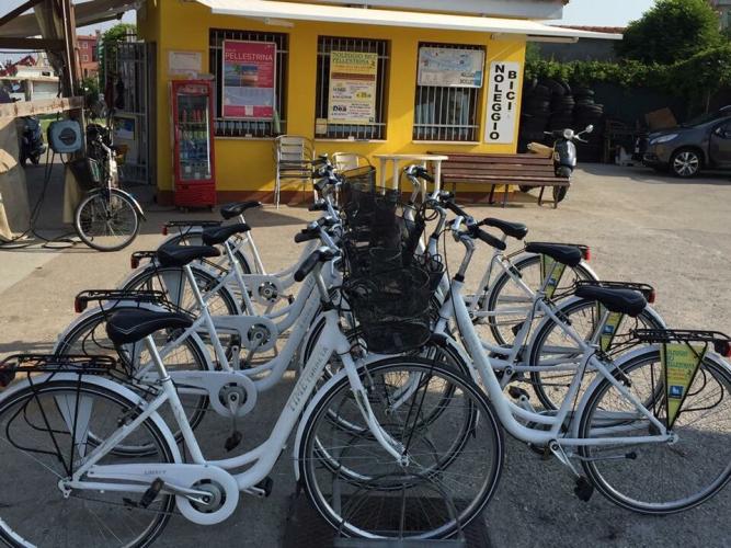 noleggio-bici-visca-srl.jpg