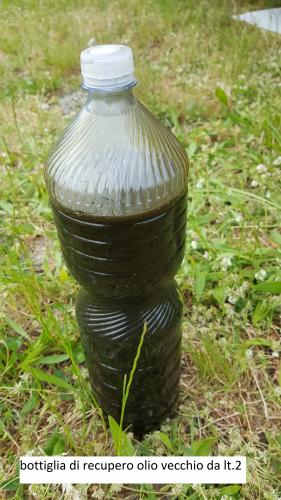 olio%20vecchio(1).jpg