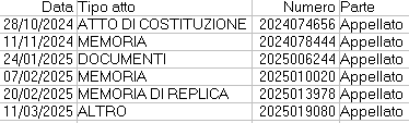 ricorso2(1).PNG