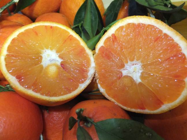 ORO DI SICILIA A 70 CENT/Kg