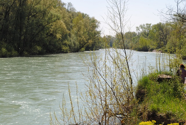 il Brenta nei pressi di Piazzola s B .