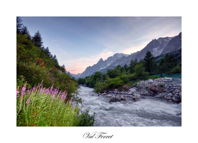 Val%20Ferret.jpg