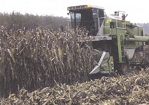 L'alimentazione per i nostri allevamenti viene prodotta in proprio, a massima garanzia di genuinit� e tutela del consumatore