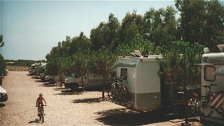 Some motorhomes in the eucalyptus' shade