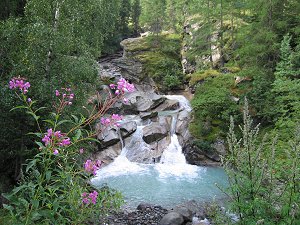 L'incontaminata natura del Parco Nazionale del Gran Paradiso