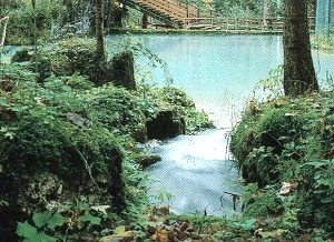 L'incantevole scenario del 'Parco Laghetti'