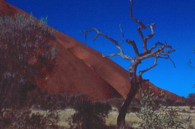 Dintorni di Ayers Rock