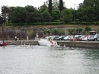 Cigni sulle rive di Peschiera del Garda