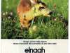 Elnagh-65-anni-036