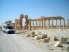 Palmyra (Siria)