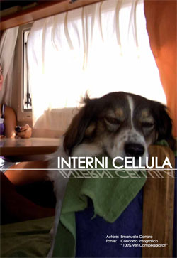 Vecam-Interni-Cellula-2015