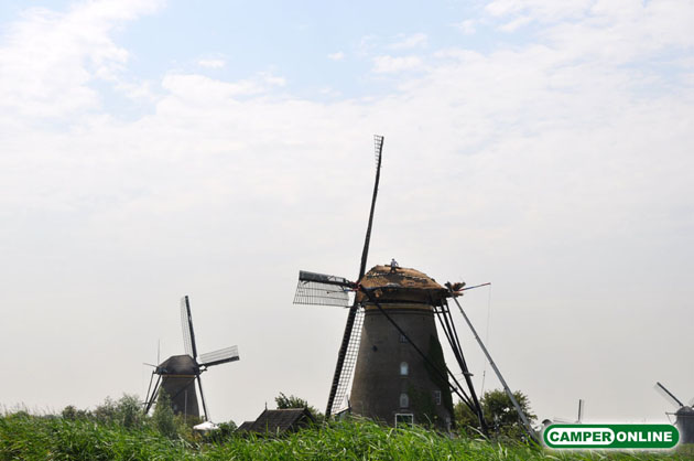 Olanda-Kinderdijk-004