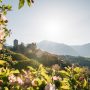 Tirolo in fiore, la primavera nell’incantevole borgo sopra Merano