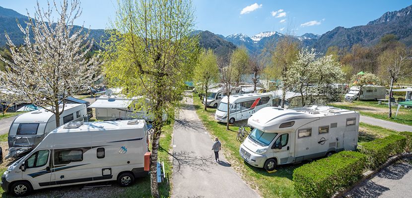 Al Camping Al Sole arriva un dinosauro