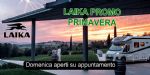 Laika Promo Primavera da Ropa